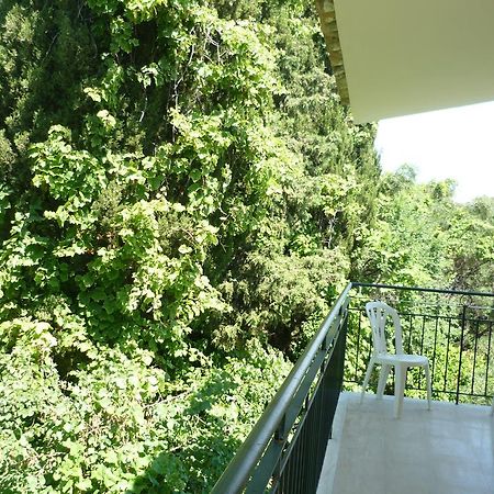 Karina Hotel Benitses  Exterior foto
