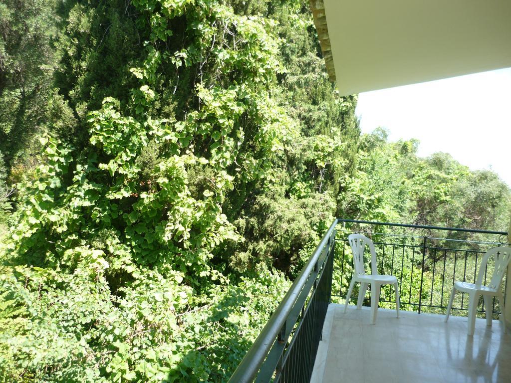 Karina Hotel Benitses  Exterior foto
